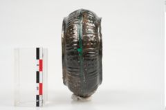 Foto von Bronzemelonenarmreif (NHMW-PRAE-025855)
